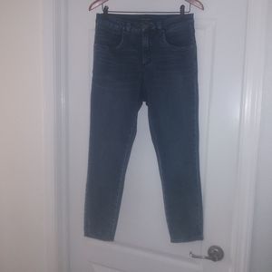 Universal Standard High Rise Skinny Seine Jeans